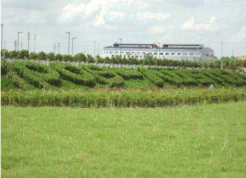 工廠(chǎng)綠化改造升級(jí)